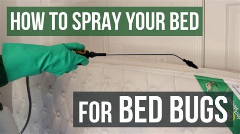 How To Spray Mattress For Bed Bugs